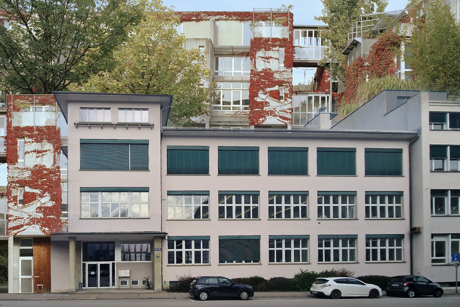 Collage exploring Binz edge and permeability